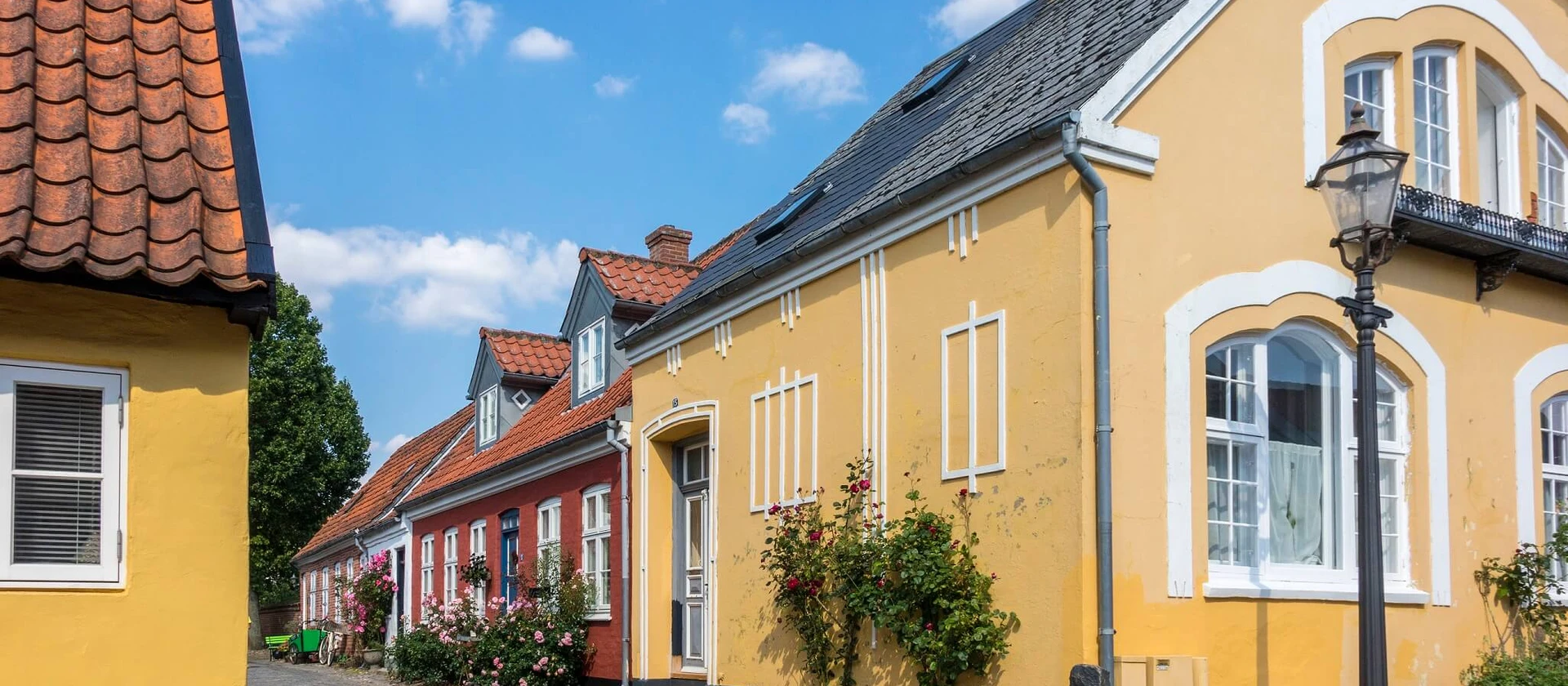 hyggelig brostensbelagt gade med gamle huse og bonderoser